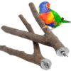 POPETPOP Bird Perches 2 Pack-Perches for Bird Cages Parrot Natural Wood Fork Stand Perch Bird Cage Accessories (15cm)