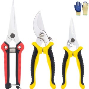 GEEDIAR Garden Secateurs, Stainless Steel Pruning Shears, Garden Bonsai Tools, Garden Shears Set for Fruit Branch, Hedge, Fruits & Vegetables, Plants(With Non-slip Gloves)