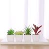 Nubry Mini Fake Succulent Plants Artificial Plastic Succulents Potted Faux Assorted Plants for Home Office Table Decoration, Set of 6