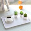 Nubry Mini Fake Succulent Plants Artificial Plastic Succulents Potted Faux Assorted Plants for Home Office Table Decoration, Set of 6