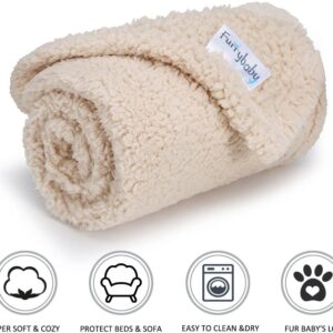 furrybaby Premium Fluffy Fleece Dog Blanket, Soft and Warm Pet Throw for Dogs & Cats Beige (Small (60x80cm))