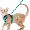 rabbitgoo Cat Harness and Leash Set for Walking Escape Proof with Leash - Adjustable Soft Vest Harnesses for Small Medium Cats, Cat Leash Harness with Reflective Strips, Green, XS