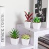 Nubry Mini Fake Succulent Plants Artificial Plastic Succulents Potted Faux Assorted Plants for Home Office Table Decoration, Set of 6