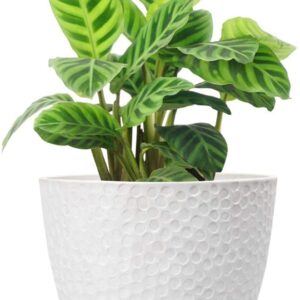 La Jolíe Muse Outdoor Indoor Planters Flower Pots - 24CM Planter Pot Containers, Plant Pots, White, Honeycomb