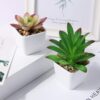 CQURE Fake Succulents Plants, Artificial Plants Fake Plants Potted in Plastic Small Pots Decor for Home and Office(4 PCS)