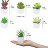 Nubry Mini Fake Succulent Plants Artificial Plastic Succulents Potted Faux Assorted Plants for Home Office Table Decoration, Set of 6