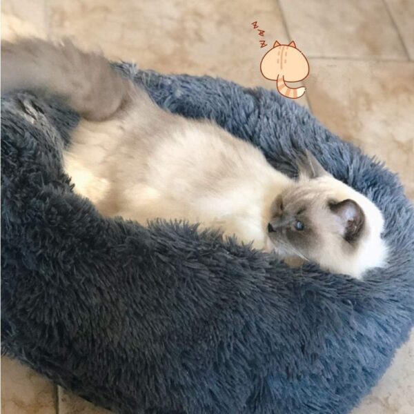Plush Donut Pet Bed,Dog Cat Round Warm Cuddler Kennel Soft Puppy Sofa, Cat Cushion Bed Sleeping Bag Orthopedic Relief and Improved Sleep,Anti-Slip Bottom,Machine Washable (M-19.7" x 7.9", Dark Grey)