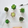 Nubry Mini Fake Succulent Plants Artificial Plastic Succulents Potted Faux Assorted Plants for Home Office Table Decoration, Set of 6