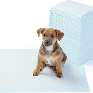 AmazonBasics Pet Training Pads, Regular