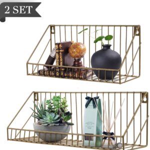 AGSIVO Wall Mounted Floating Shelves Set of 2,Floating Shelves Rustic Metal Wire Storage Shelves Display Racks Home Decor Wall shelve for Living Room, Office, Bedroom, Bathroom, Kitchen (Gold)