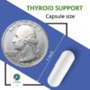 Thyroid Support Supplement - (Vegetarian) - A Complex Blend of Vitamin B12, Iodine, Zinc, Selenium, Ashwagandha Root, Copper, Coleus Forskohlii & More - 30 Day Supply