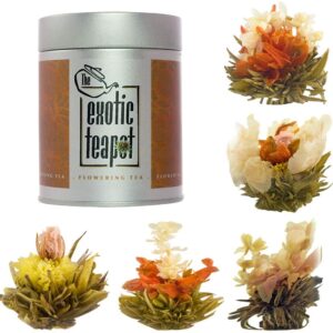 The Exotic Teapot - Flowering Tea Sampler Tin, 5 Different Varieties of Blooming Tea, Vacuum Sealed Tea Balls, Jasmine Tea Flowers