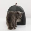 Bedsure Pet Tent Cave Bed for Cats/Small Dogs - 38x38x38cm 2-In-1 Cat Tent/Cat Bed House with Removable Washable Cushion Pillow - Microfiber Indoor Outdoor Pet Beds, Dark Grey