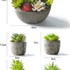 Jobary Set of 5 Artificial Succulent Potteds (Includes 10 Plants), Colourful and Decorative Faux Succulent Plants with Stones, Ideal for Home, Office and Outdoor Decor 