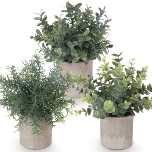 ilauke Set of 3 Mini Potted Artificial Plants Plastic Eucalyptus Plants Faux Rosemary Plants for Home Garden Office Desk Shower Room Decoration