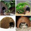 Coco Hut for Aquatic Pets, Made of Raw Coconut, Smooth Edges, Comfortable & Cute Hideout, Snag-Free Surface to Keep Fish, Snail and other pets Safe, Perfect for Breeding