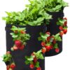 Tvird Strawberry Grow Bags, 2 Pack 10 Gallon Strawberry Planter with 8 Side Grow Pockets, Breathable Non-woven Fabric Reinforce Handle Strawberry Growing Bag for Garden Strawberries, Herbs, Flowers