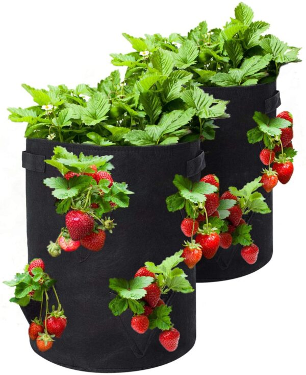 Tvird Strawberry Grow Bags, 2 Pack 10 Gallon Strawberry Planter with 8 Side Grow Pockets, Breathable Non-woven Fabric Reinforce Handle Strawberry Growing Bag for Garden Strawberries, Herbs, Flowers