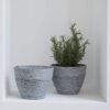 La Jolíe Muse Flower Pot Large Garden Planters 19CM Pack 2 Outdoor Indoor, Outdoor Planters with Drain Hole (Marble) Grey