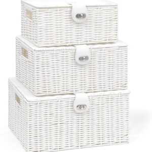 Arpan Set of 3 Resin Woven Storage Basket Box with Lid & Lock (White)