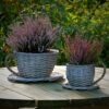 Set of 2 Willow Teacup Planters | Cup and Saucer Plant Pots | Basket Weave Watertight Flower Containers | Perfect Gift | M&W