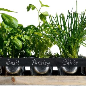 Viridescent Indoor Herb Garden Kit - Kitchen Wooden Windowsill Planter Box with Herb Seeds. Best Gift Idea!