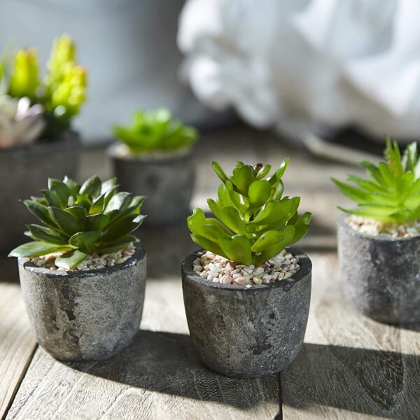 Jobary Set of 5 Artificial Succulent Potteds (Includes 10 Plants), Colourful and Decorative Faux Succulent Plants with Stones, Ideal for Home, Office and Outdoor Decor 