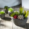 Jobary Set of 5 Artificial Succulent Potteds (Includes 10 Plants), Colourful and Decorative Faux Succulent Plants with Stones, Ideal for Home, Office and Outdoor Decor 