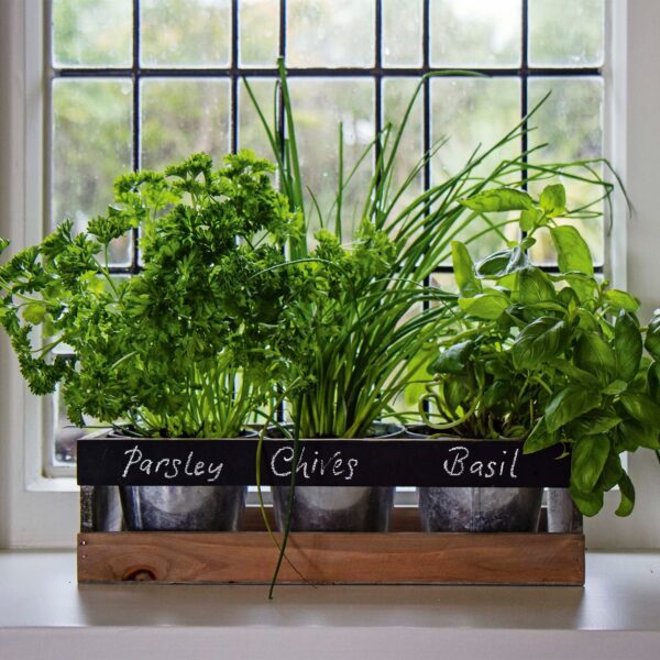Viridescent Indoor Herb Garden Kit - Kitchen Wooden Windowsill Planter Box with Herb Seeds. Best Gift Idea!