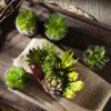 Jobary Set of 5 Artificial Succulent Potteds (Includes 10 Plants), Colourful and Decorative Faux Succulent Plants with Stones, Ideal for Home, Office and Outdoor Decor 