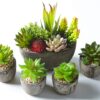 Jobary Set of 5 Artificial Succulent Potteds (Includes 10 Plants), Colourful and Decorative Faux Succulent Plants with Stones, Ideal for Home, Office and Outdoor Decor 